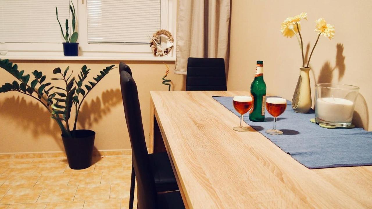 Cozy Apartment At River Labe Near Center And Train Ústí nad Labem 외부 사진